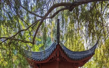 Le Jardin Botanique