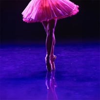 La Belle au bois dormant dans un spectacle étincelant