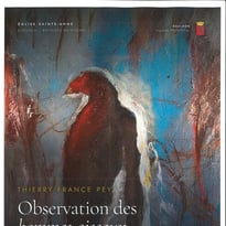 Observation des Hommes et Oiseaux en Milieu Naturel