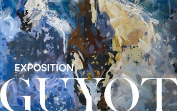 Exposition des œuvres de Guyot