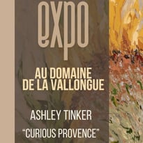 Exposition Ashley Tinker