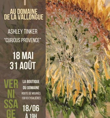 Expo d'Art