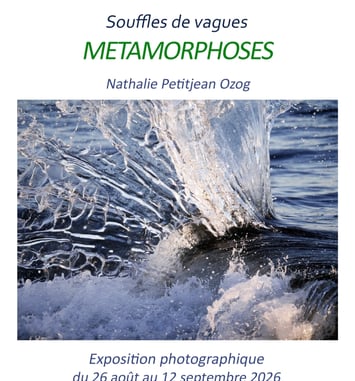 Métamorphoses