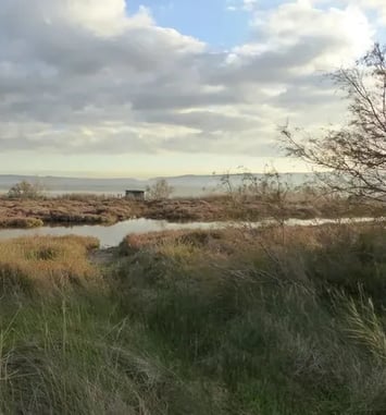 Visite libre sur le territoire du Bolmon