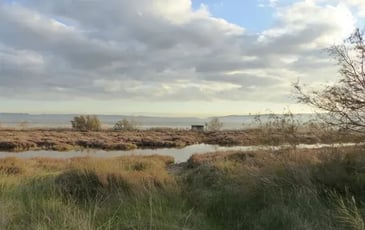 Visite libre sur le territoire du Bolmon