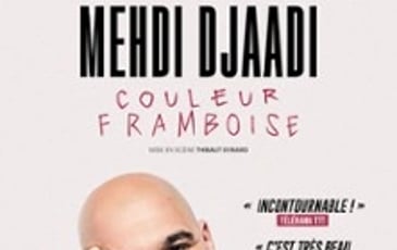 Mehdi Djaadi