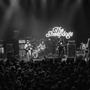 The Sheepdogs