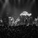 The Sheepdogs
