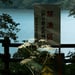 Hideki Umezawa