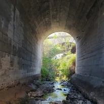 Balade patrimoniale sur le ruisseau des Aygalades | Avec le collectif des Gammares et Hôtel du Nord