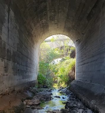 Balade patrimoniale sur le ruisseau des Aygalades | Avec le collectif des Gammares et Hôtel du Nord