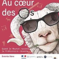 Exposition temporaire « Au cœur des os, quand le mouton raconte la Préhistoire récente »