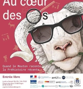 Exposition temporaire « Au cœur des os, quand le mouton raconte la Préhistoire récente »