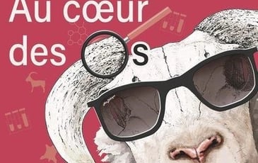 Exposition temporaire « Au cœur des os, quand le mouton raconte la Préhistoire récente »
