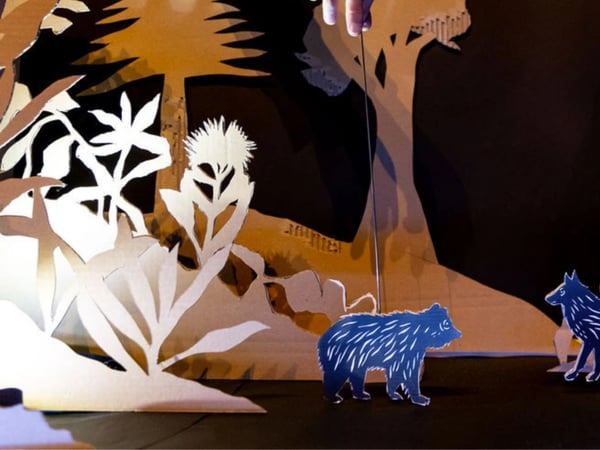 Un animal, des animals