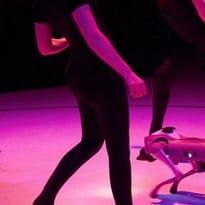 Christine Armanger / Liz Santoro et Pierre Godard (États-Unis / France) - de dIAboli / This Is Unreal