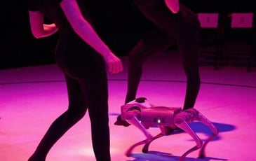 Christine Armanger / Liz Santoro et Pierre Godard (États-Unis / France) - de dIAboli / This Is Unreal