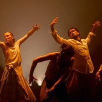Hofesh Shechter (Royaume-Uni) - In the Brain