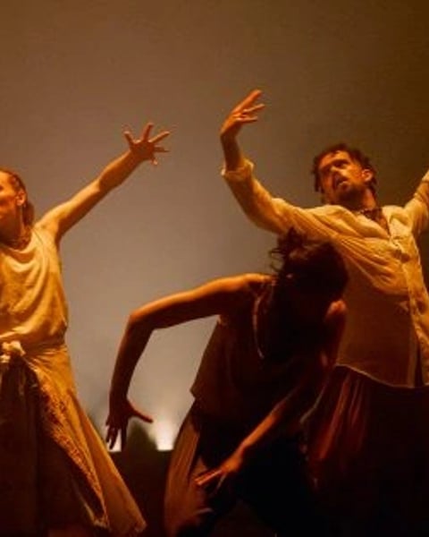 Hofesh Shechter (Royaume-Uni) - In the Brain
