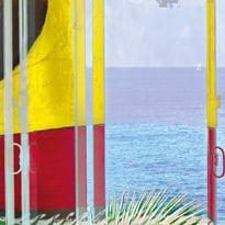 La vie climatique. Histoires sensibles des collections privées - Triennale De leur temps #8