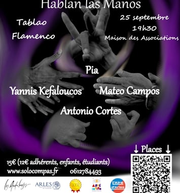 Tablao Flamenco "Cuando faltan las palabras, hablan las manos"