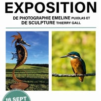 Exposition de photographies (Emeline Pujolas) et de sculptures-métal (Thierry Gall)