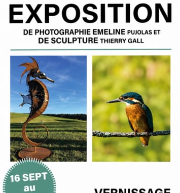 Exposition de photographies (Emeline Pujolas) et de sculptures-métal (Thierry Gall)