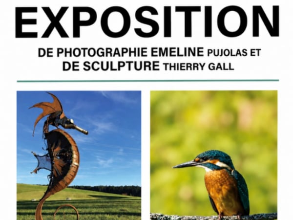 Exposition de photographies (Emeline Pujolas) et de sculptures-métal (Thierry Gall)