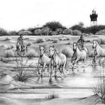 Exposition "Camargue sauvage"