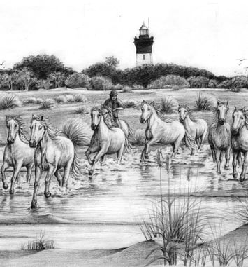 Exposition "Camargue sauvage"