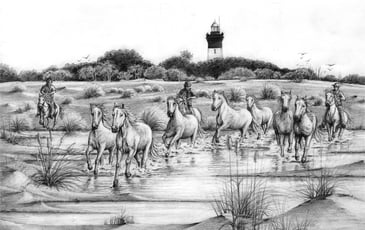 Exposition "Camargue sauvage"