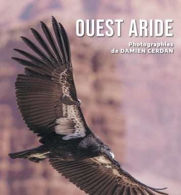 Exposition « Ouest Aride »