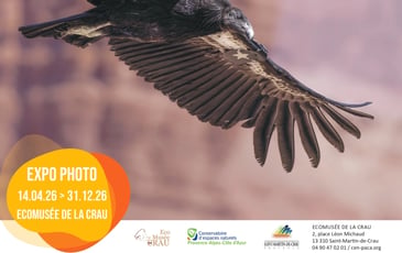 Exposition « Ouest Aride »