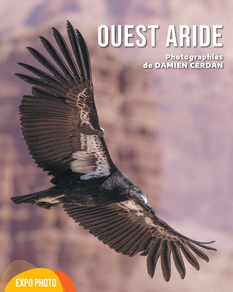 Exposition « Ouest Aride »