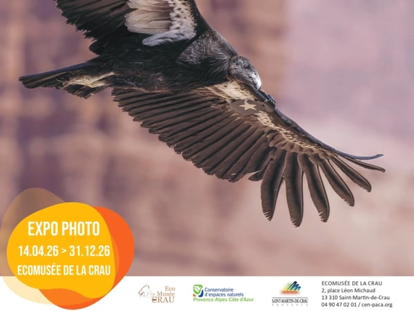 Exposition « Ouest Aride »