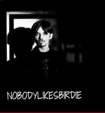 Nobodylikesbirdie / Jaymee