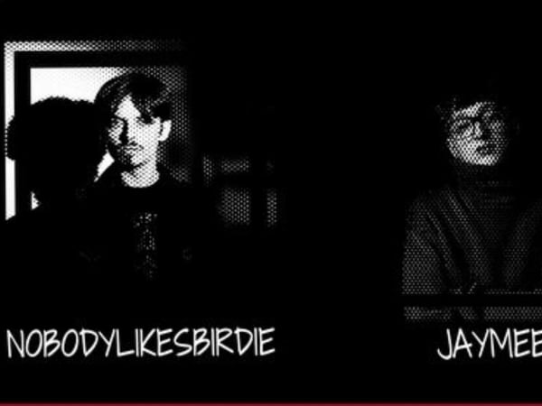 Nobodylikesbirdie / Jaymee