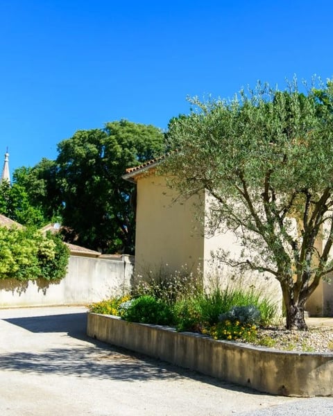 Centre Frédéri Mistral