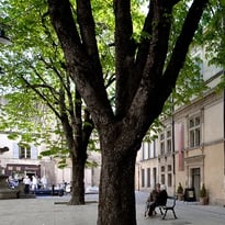 Musée des Alpilles