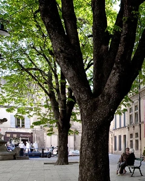 Musée des Alpilles