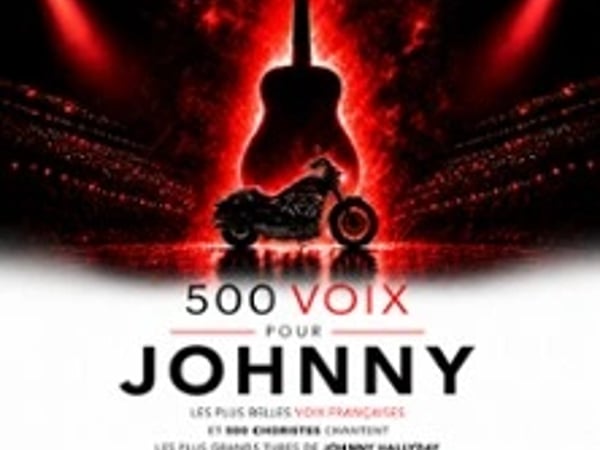 500 Voix pour Johnny, 10 ans après
