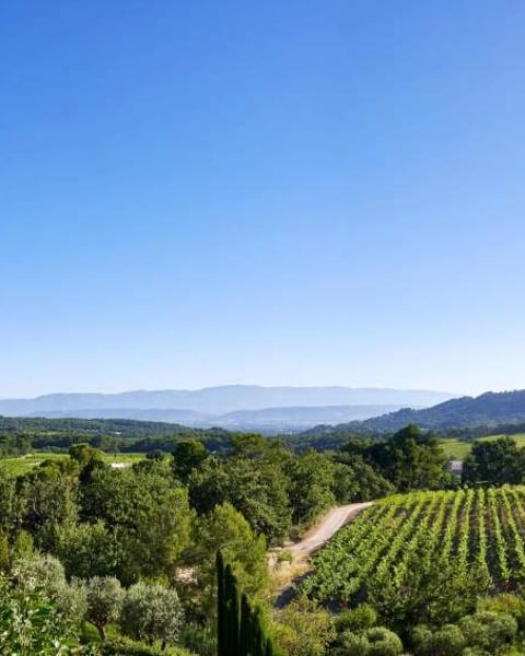 Château La Coste