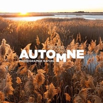Rendez-vous Automne - Photographie nature