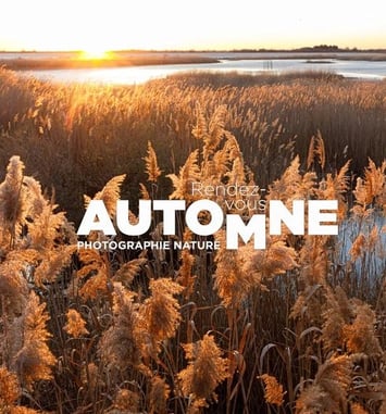 Rendez-vous Automne - Photographie nature