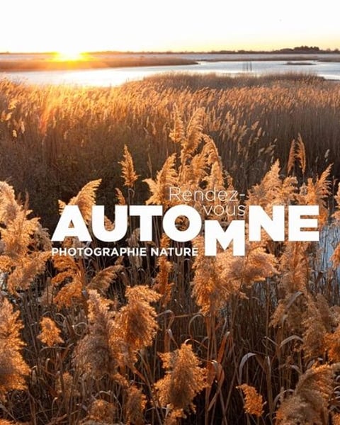 Rendez-vous Automne - Photographie nature