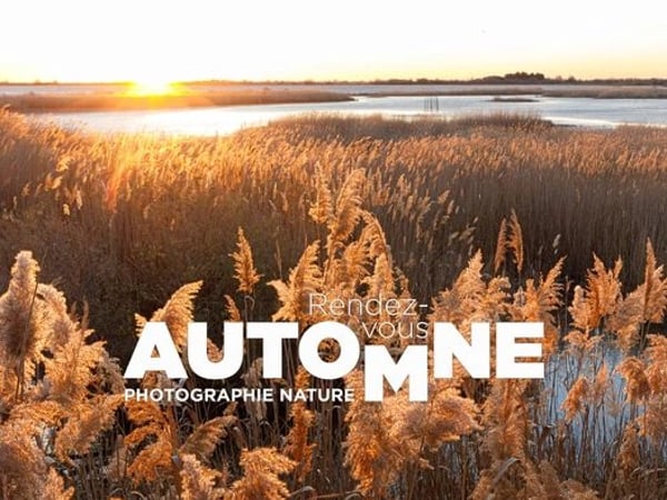 Rendez-vous Automne - Photographie nature