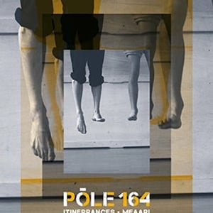 Pôle 164