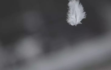 Partout le silence