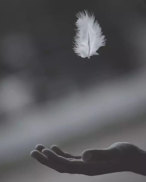 Partout le silence