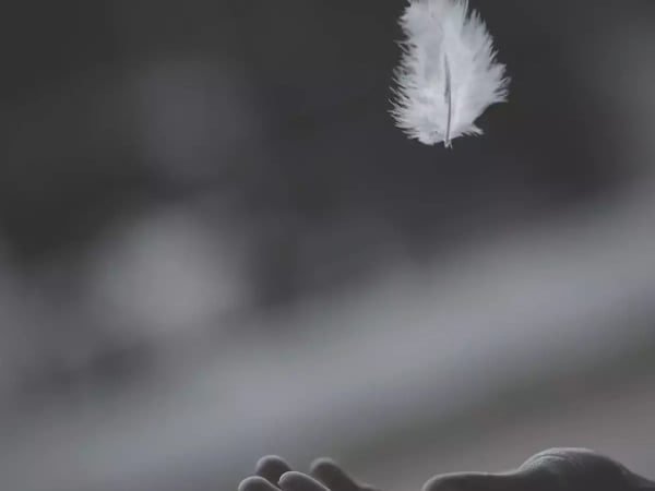 Partout le silence